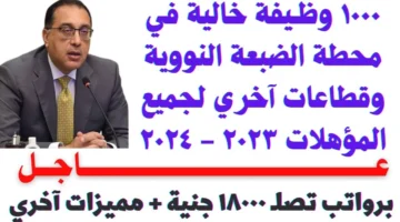 برواتب تصل لـ13 ألف جنيه.. وظائف مشروع الضبعة لـ 1450 شابًا والتخصصات المطلوبة